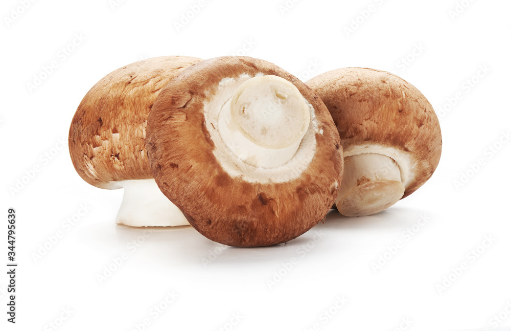champignon mushroom isolated on white background champignon mushroom isolated on white background