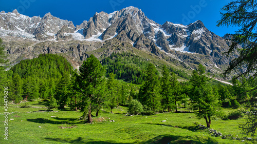 Mountain landscape of Val Ferret in summer season with Grandes Jorasses in background photo
