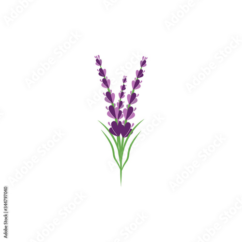 Lavender Logo Template vector symbol