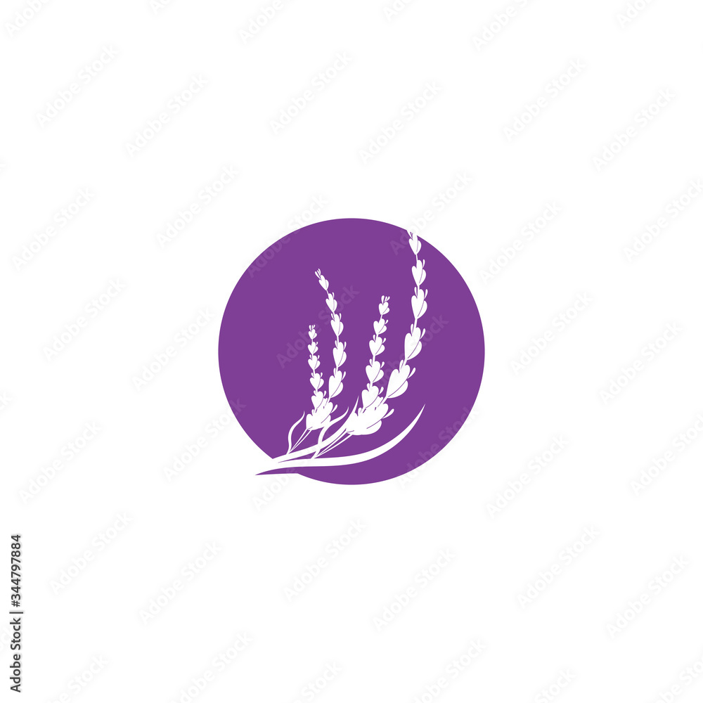 Lavender Logo Template vector symbol Lavender Logo Template vector symbol