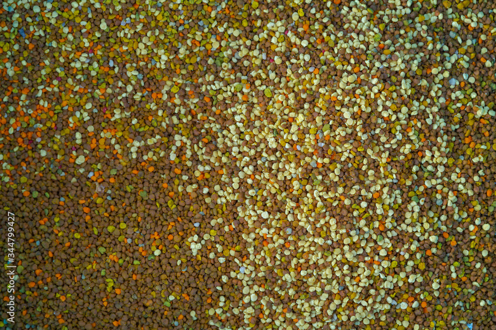 Freshly picked multi-colored bee pollen close-up. bee pollen texture, background Freshly picked multi-colored bee pollen close-up. bee pollen texture, background