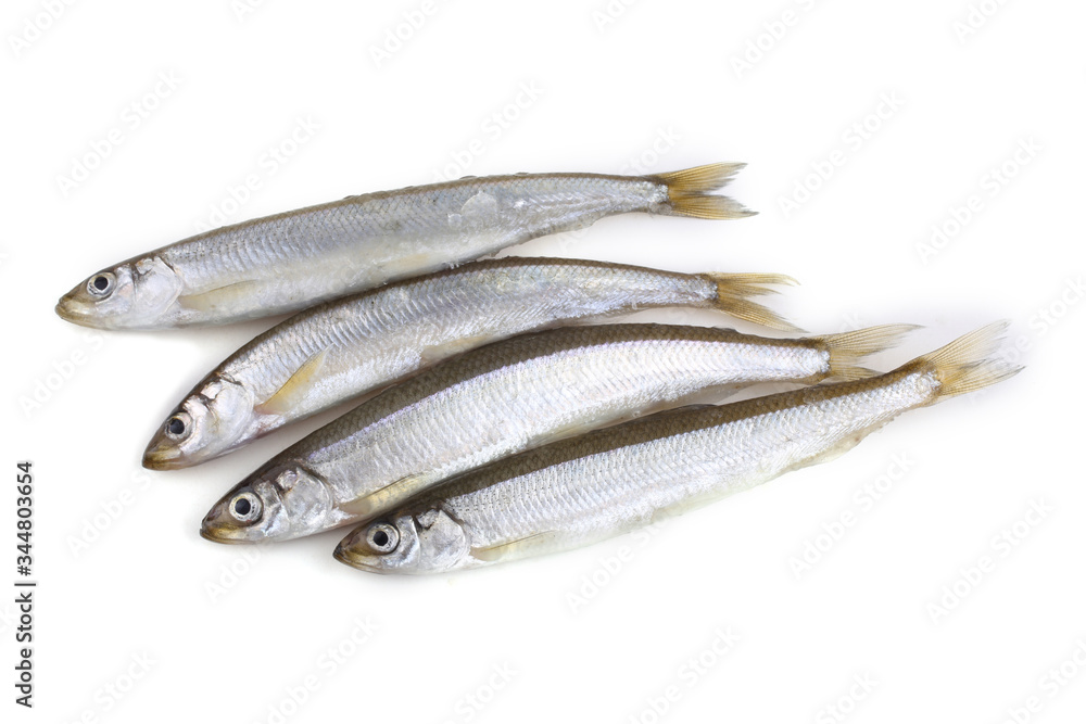 Smelt fishes isolated on white