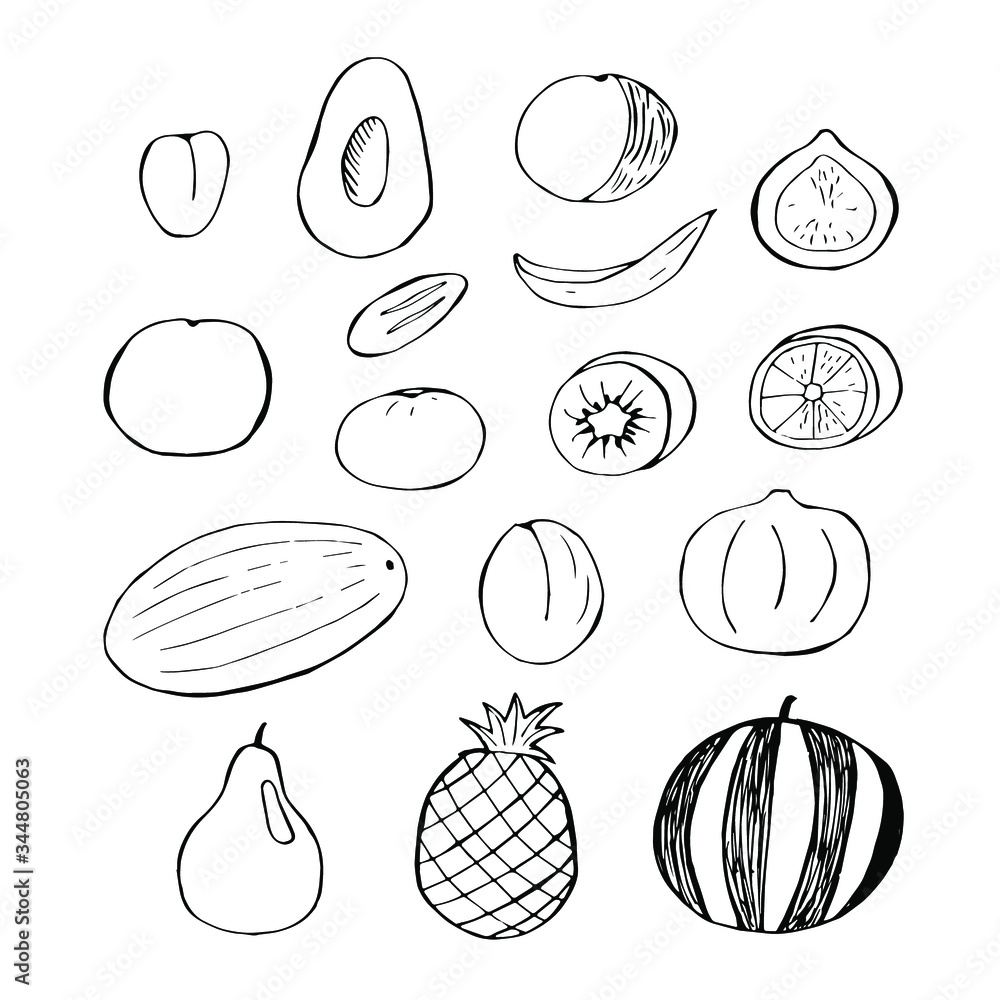 Set of fruits, vector illustration, apricot, avocado, peach, orange, date, banana, fig, mandarin, kiwi, lemon, melon, plum, pomegranate, pear, pineapple, watermelon, hand drawing Set of fruits, vector illustration, apricot, avocado, peach, orange, date, banana, fig, mandarin, kiwi, lemon, melon, plum, pomegranate, pear, pineapple, watermelon, hand drawing