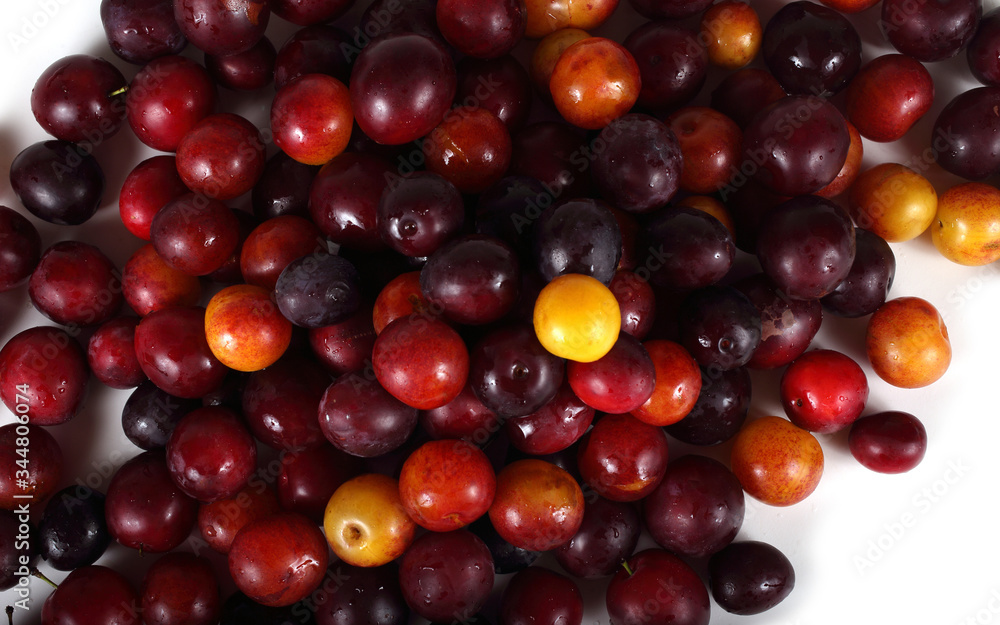 Different plum varieties Different plum varieties