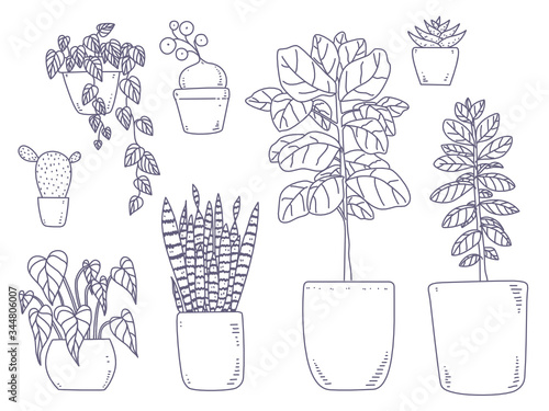 Indoor plants set isolated outline illustration in vector