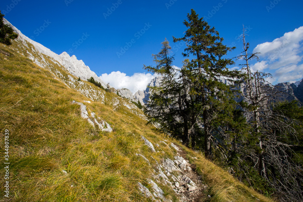 Julian Alps landscape under Prisojnik peak