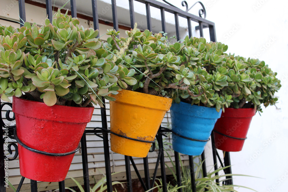 Macetas de diferentes colores en una ventana Macetas de diferentes colores en una ventana
