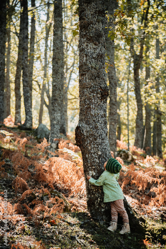 Naklejka premium Little girl in an autumn forest among ferns