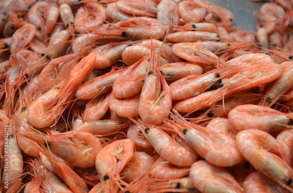Many red raw fresh shrimps ready to be cooked, displayed for sale at Feskekorka fish market in Gothenborg, Sweden, top view of flat flay of healthy food photographed with soft focus
Many red raw fresh shrimps ready to be cooked, displayed for sale at Feskekorka fish market in Gothenborg, Sweden, top view of flat flay of healthy food photographed with soft focus