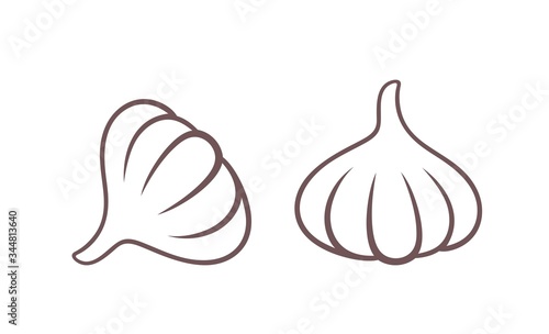 Garlic outline. Isolated garlic on white background
