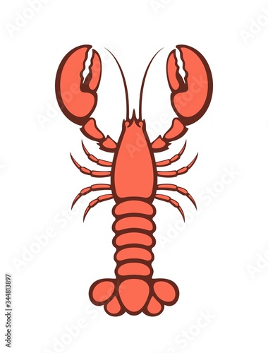 Lobster logo. Isolated lobster on white background