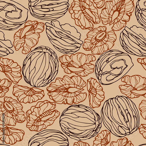 abstract seamless pattern of a set of walnuts & kernels, for menu design or confectionery, textiles, vector illustration with colored contour lines on a creamy background in doodle & hand drawn style