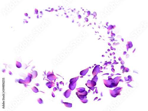 Fotografi Many flower petals blown 3d