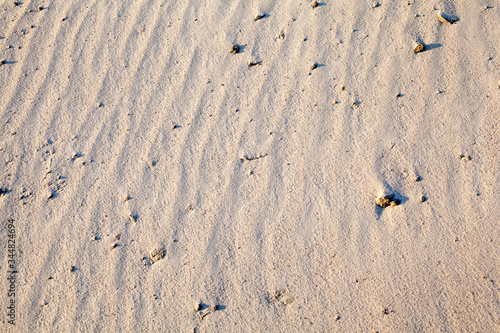 Fototapeta Naklejka Na Ścianę i Meble -  Sand surface