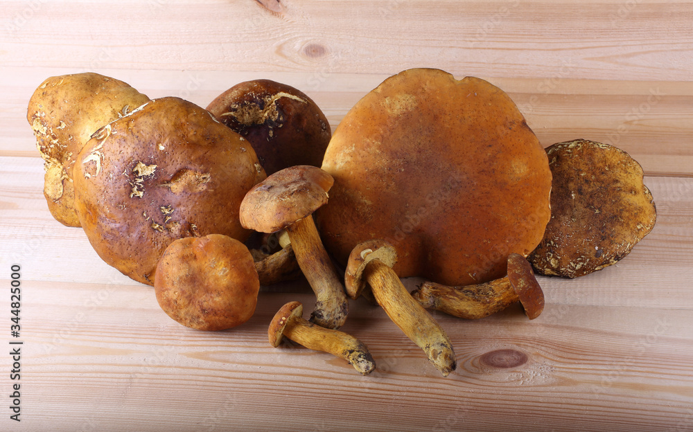 Bolete mushrooms on table