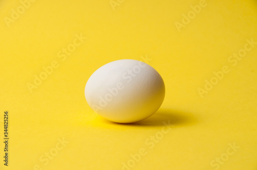 Chicken egg on a bright yellow background, copy space