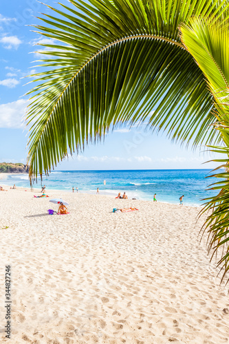 palm tree on the beach, Boucan Canot, Reunion island  © Unclesam