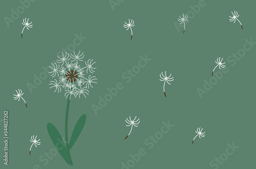 Dandelion flower illustration drawing. Flower wallpaper. Dandelion flower