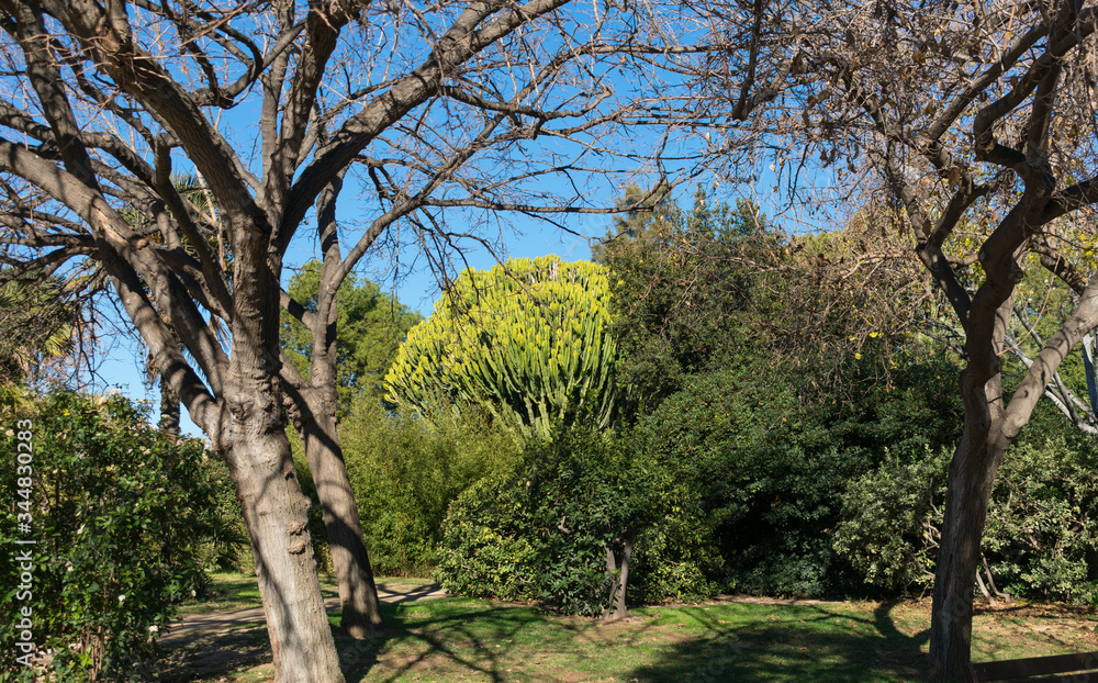 Fototapeta premium parque de Marxalenes Valencia