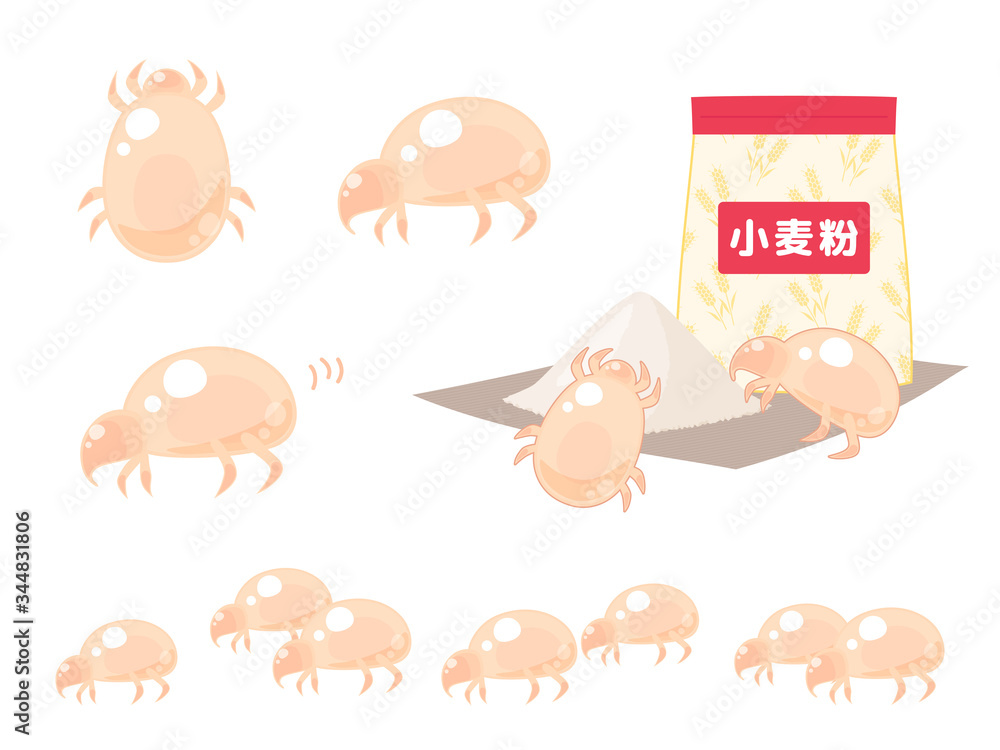 コナダニのイラスト_小麦粉_セット コナダニのイラスト_小麦粉_セット