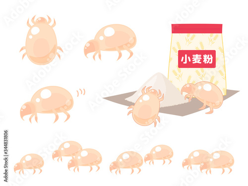コナダニのイラスト_小麦粉_セット
