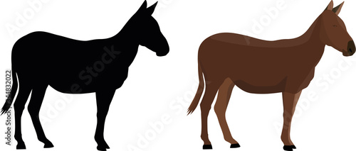 illustration of a brown horse isolated on white