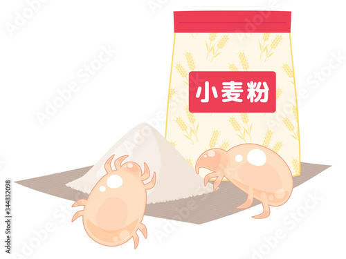 コナダニのイラスト_小麦粉