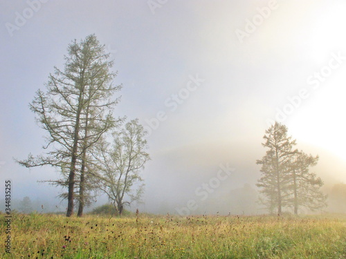 Fog over the mountain river Katun. The Republic of Gorny Altai on the territory of the Russian Federation, Siberia.