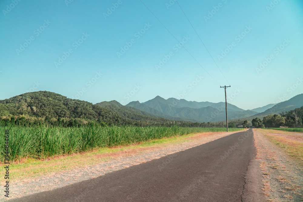 Beautiful mountain landscape with sugar cane fields foreground. Dramatic view of Road, fields, trees, green forest, farm, mountains, blue sky & road. Shot in Walsh's Pyramid, Cairns, Australia.