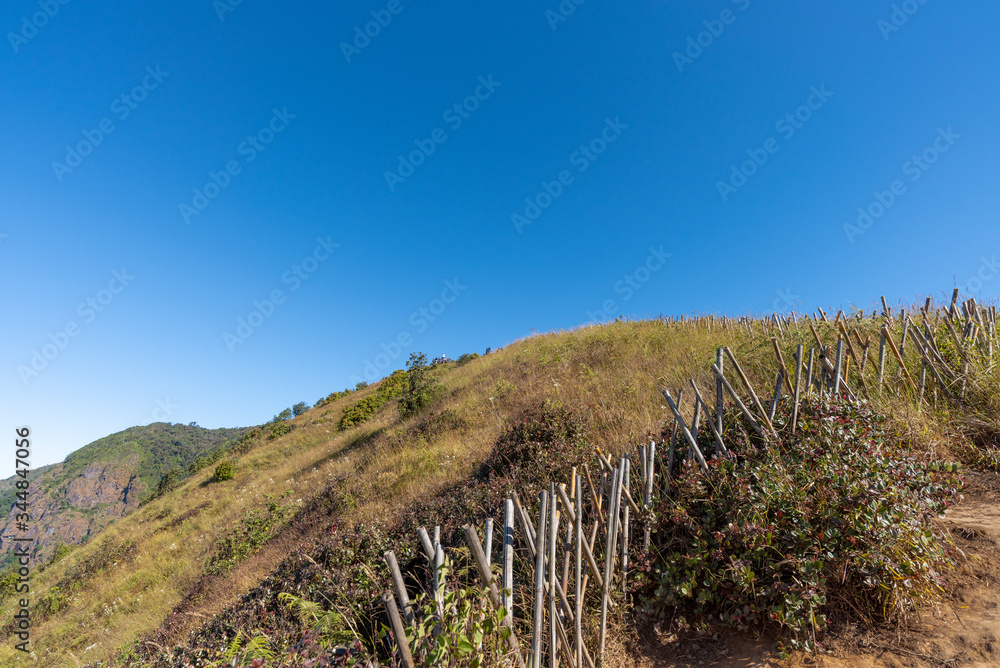 Landscape view of beautiful mountains grass and blue sky