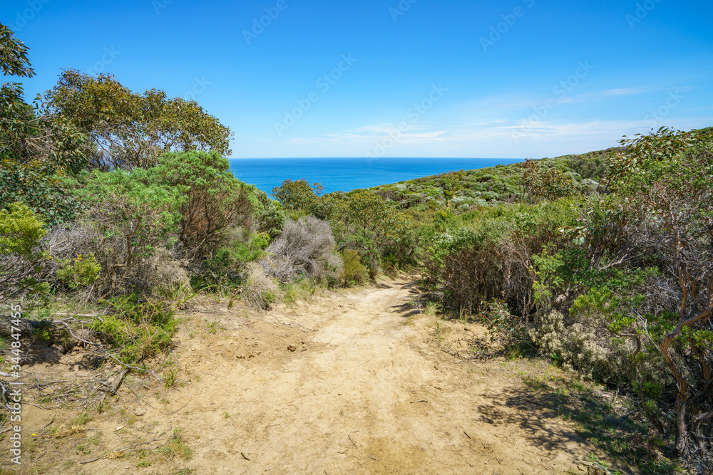 hiking the great ocean walk to milanesia beach, coast of victoria, australia