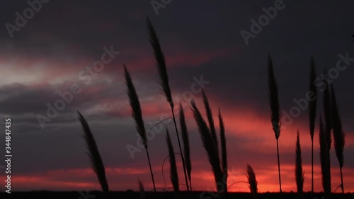 beautiful sunset over the lake
