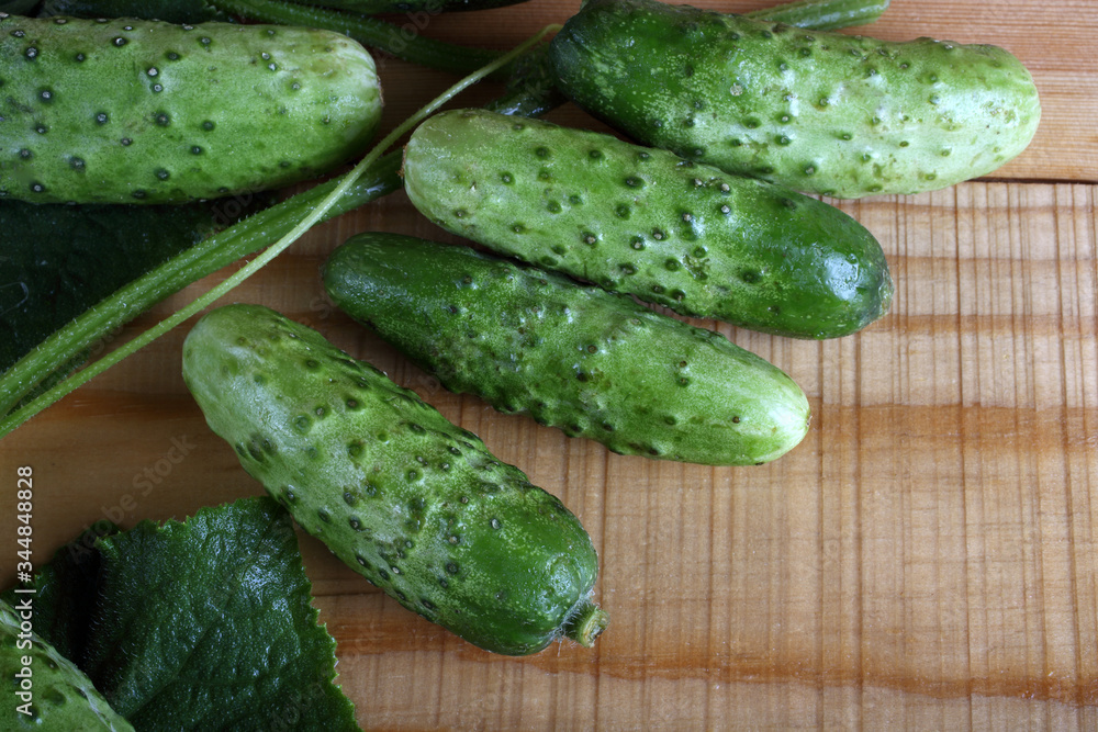Cucumbers on table Cucumbers on table