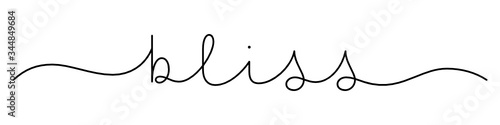 BLISS black vector monoline calligraphy banner with swashes