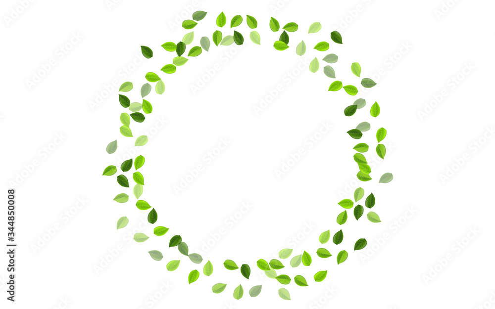 Olive Leaf Swirl Vector Concept. Wind Foliage Olive Leaf Swirl Vector Concept. Wind Foliage