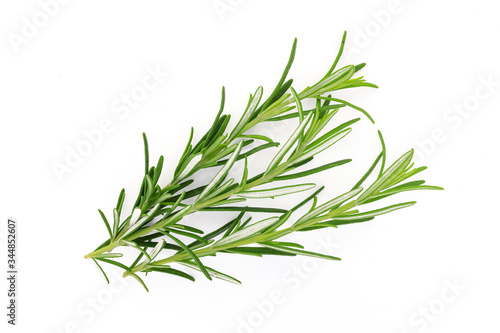 Studio shot of fresh green rosemary twigs isolated on a white background in close-up