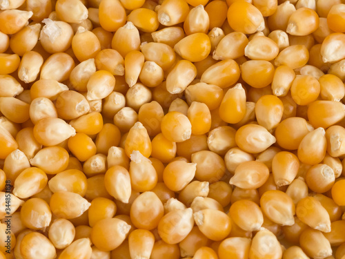 Fine golden dry corn groats texture close up