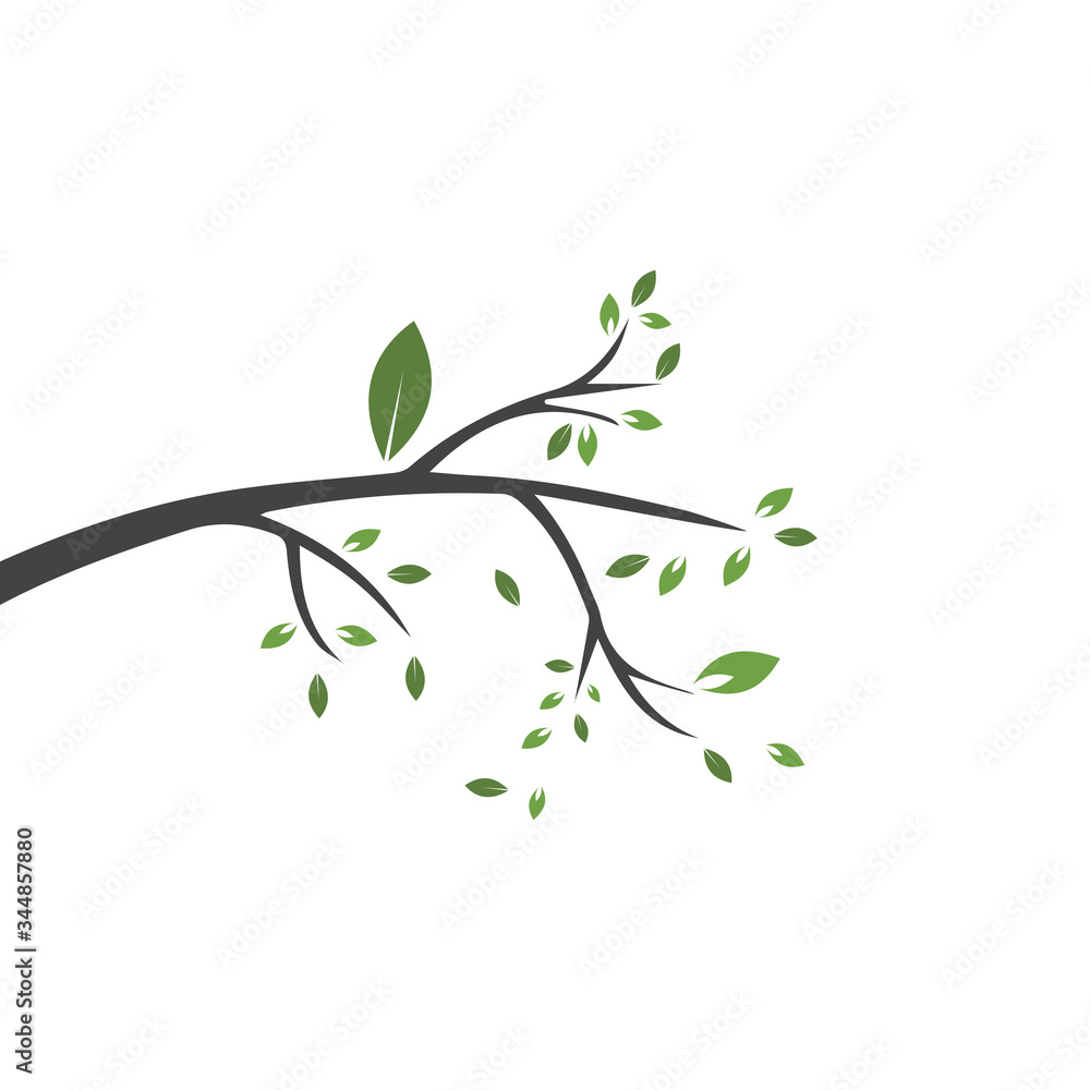 Vector branch , Hand drawn illustration of tree branch design template Vector branch , Hand drawn illustration of tree branch design template