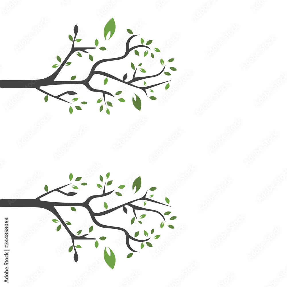 Fototapeta Vector branch , Hand drawn illustration of tree branch design template