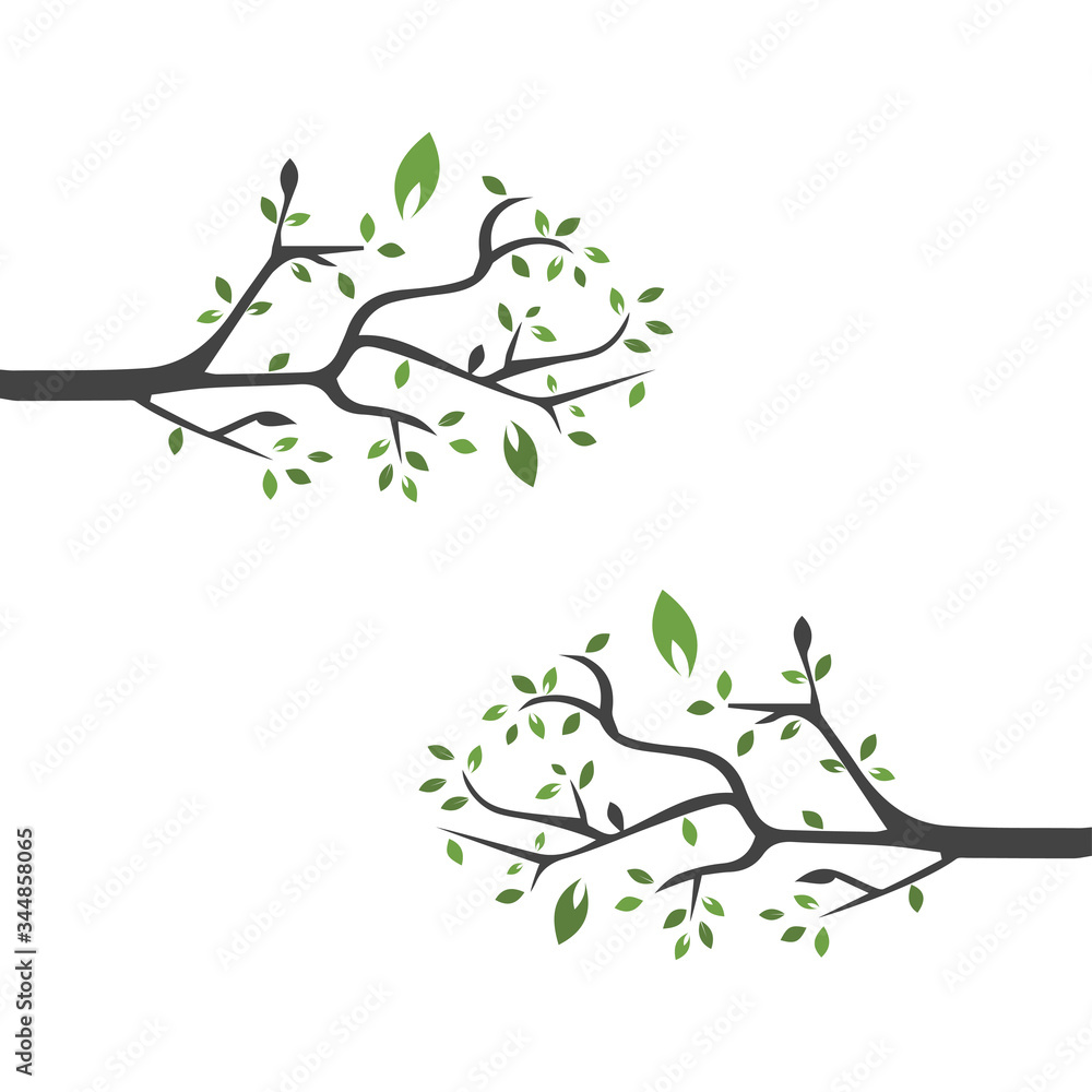 Fototapeta Vector branch , Hand drawn illustration of tree branch design template