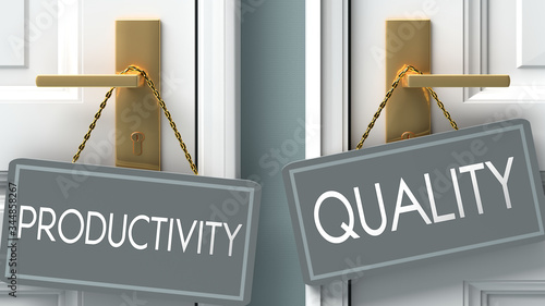 quality or productivity as a choice in life - pictured as words productivity, quality on doors to show that productivity and quality are different options to choose from, 3d illustration