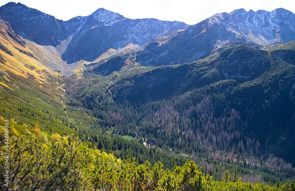 Western Tatras - Rohacska Valley is surrounded by peaks in the background: Ostry Rohac, Placlive and Tri Kopy. Autumn colors in the Slovak mountains.