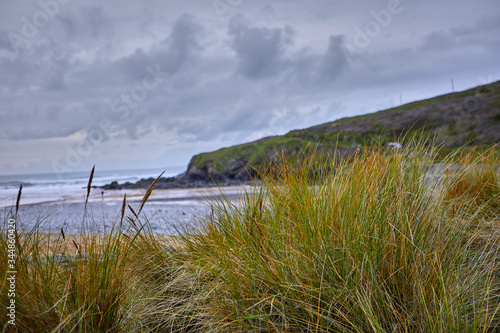 Image of grasses on a sand dune on the coastal beach of Poldhu Beach, Cornwall on a cloudy day. Shallow depth of field.
