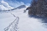 Panorami invernali in trekking sulla neve