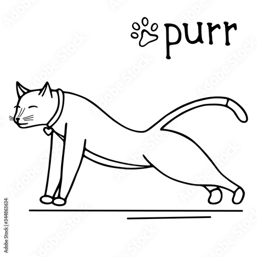 Hand-drawn vector illustration. Cute doodle cat stretches or stands in the bar black line on a white background