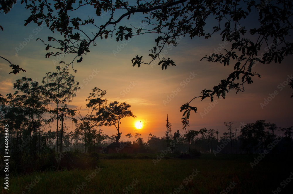 sunset in the ricefield