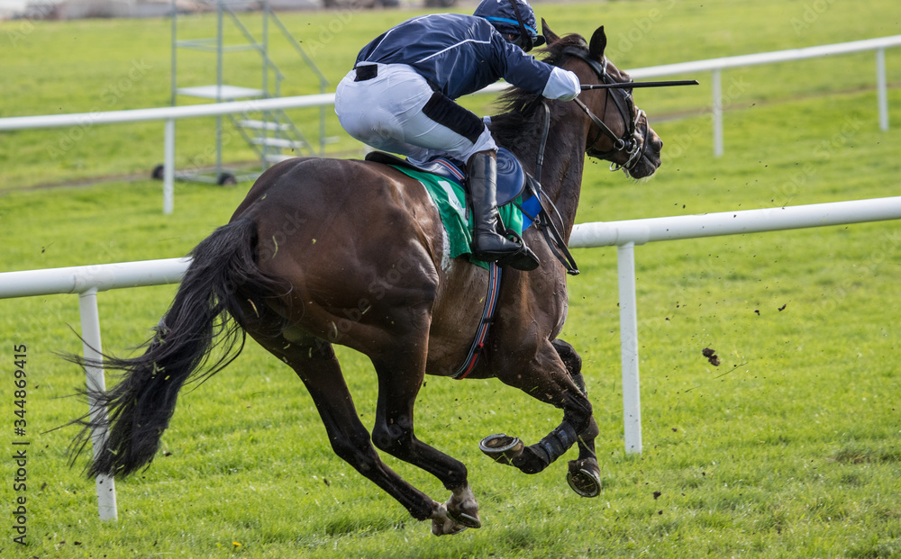 Horse and jockey racing down the track, horse racing action Horse and jockey racing down the track, horse racing action