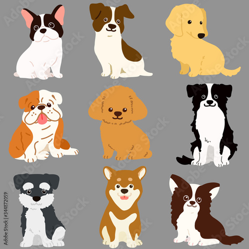 Set of cute dogs sitting in front view illustrations