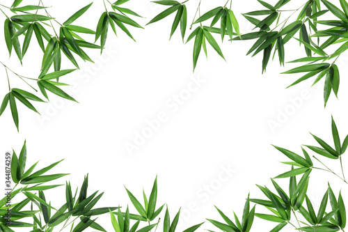 Bamboo leaves,Isolated on a white background, © Danykur