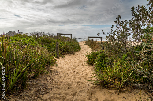 Dunes at the beach of the Camel Rock bay in New South Wales, Australia at a cloudy and windy day in summer with strong waves in the ocean. 